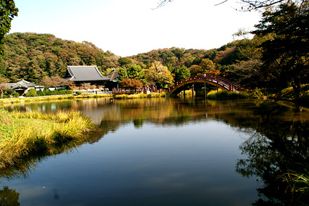 称名寺の本堂風景!(111123)