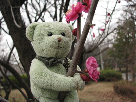 特等席で