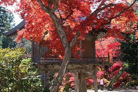 洞光寺 - 004