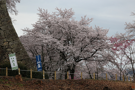 津山城 - 001