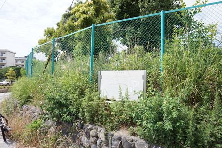 家原城