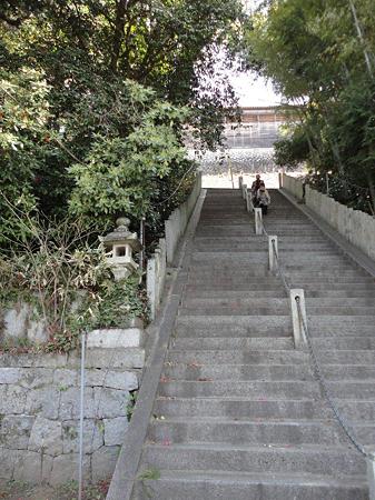 DSC02514