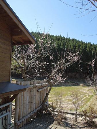 DSCN1437