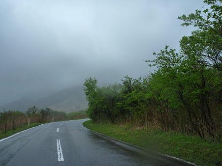DSCN2252