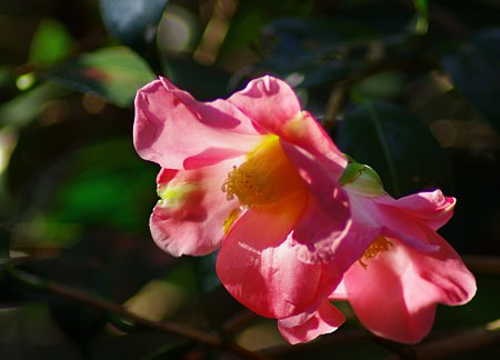 IMGP6144