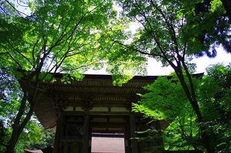IMGP2430