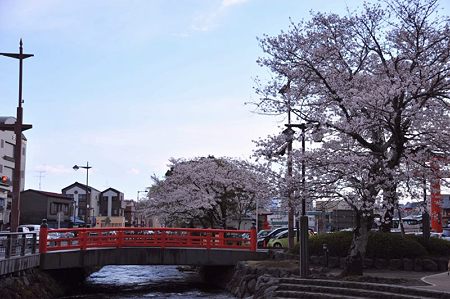 富士宮浅間神社桜祭り3
