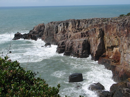 DSC05560