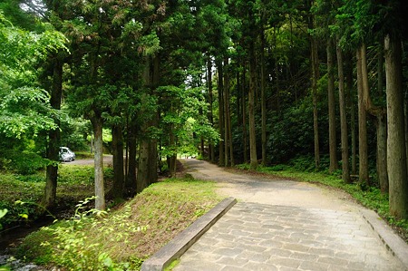 1106221452_DSC_1420