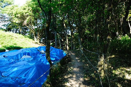 1107120741_DSC_5476