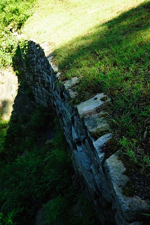 1107120749_DSC_5505