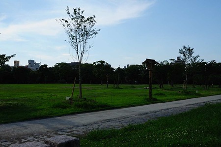 1107121634_DSC_5840