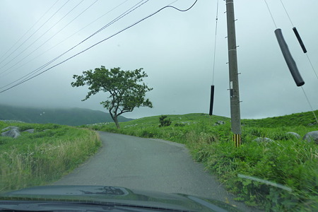1107131428_P1770104