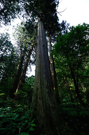 1108130813_DSC_4299