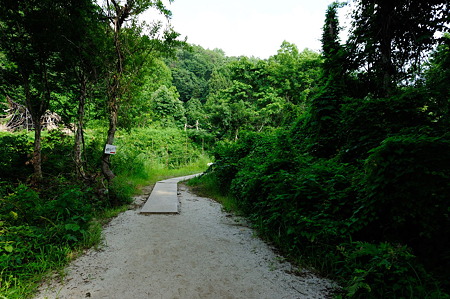 1108141542_DSC_6194