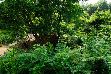 1108141547_DSC_6236