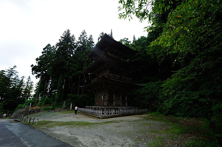 1108151428_DSC_6574
