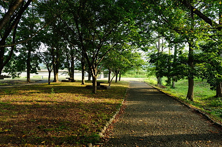 1108161700_DSC_7856