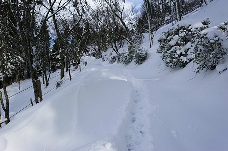 1101011409_DSC_6521