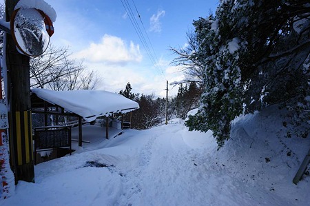 1101011438_DSC_6594