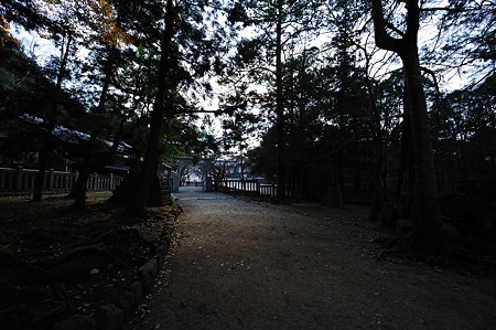 1101041029_DSC_8567