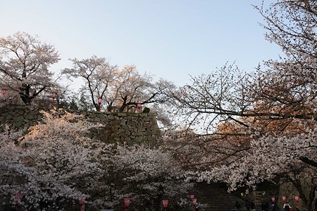 1104121757_DSC_5024
