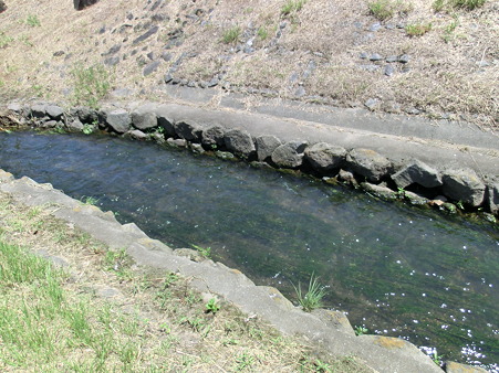 CIMG0084