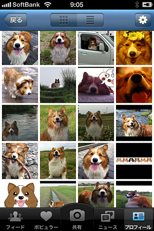 写真 1