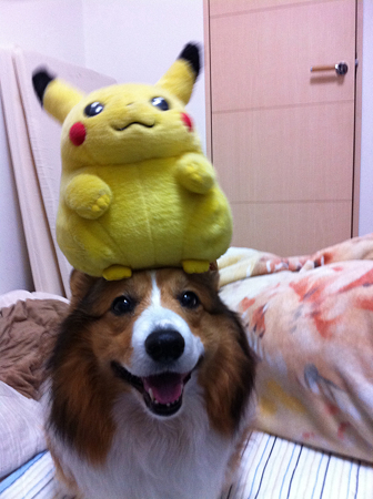 写真 3