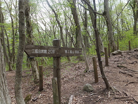 登山道２