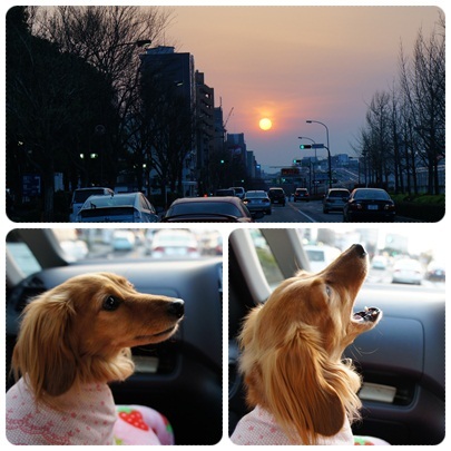 20120408 行き