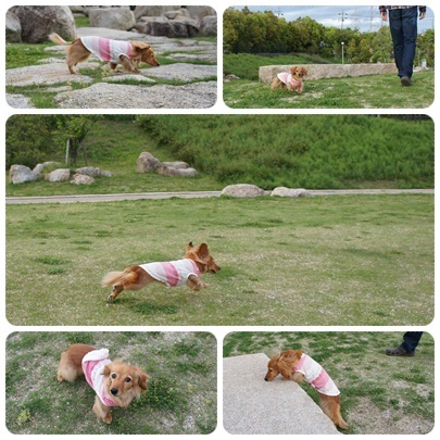 20120503 お散歩