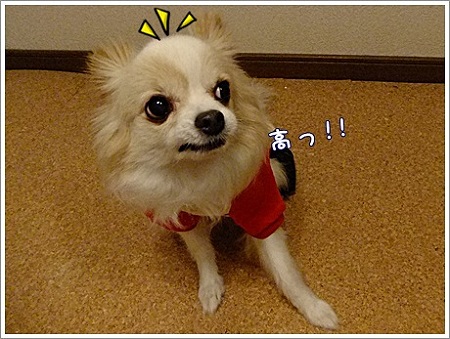 高っ!!