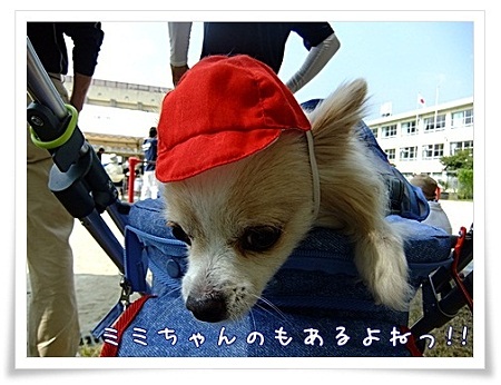 あるね
