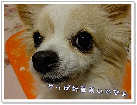 計算高い