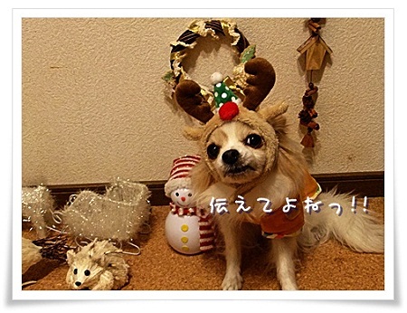 伝えて