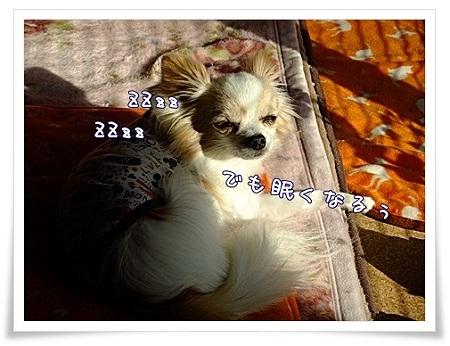 眠い