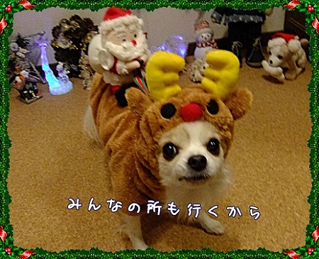 行くよ