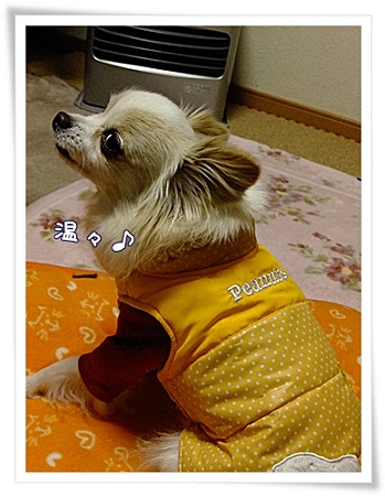 温々