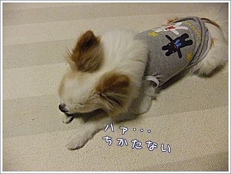 仕方ないね