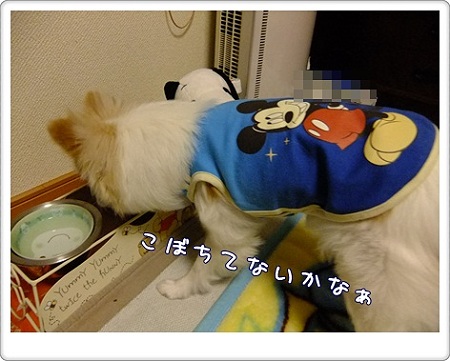 こぼしてない?