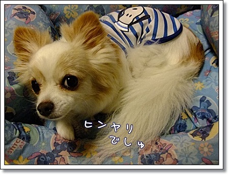 ヒンヤリ