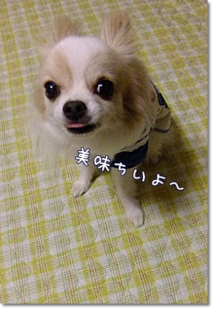 美味しい