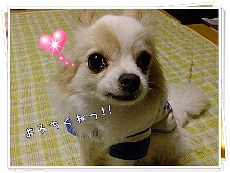 よろしく