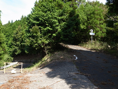 R424旧道・宇井峠2011-2