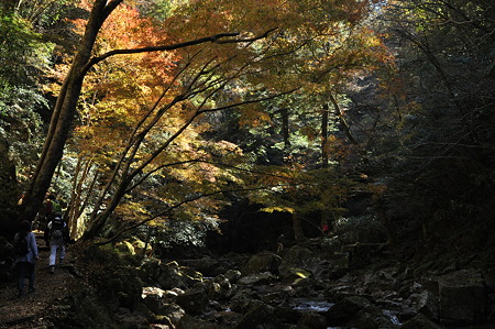赤目四十八滝の紅葉・4