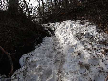 c-110506-082847 だんだん雪が増える