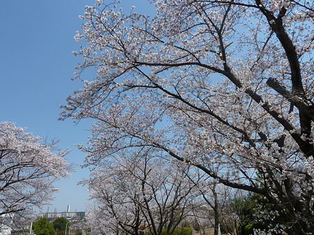 京大原子炉 (2)