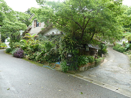 20120428 (5)
