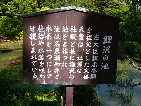 2011.5.8 065